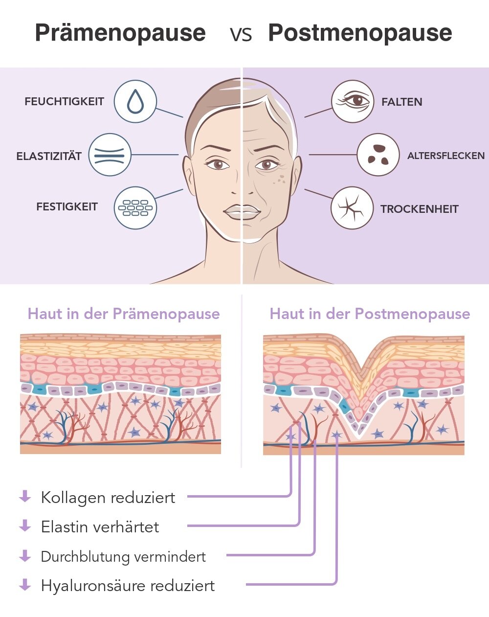 Haut vor und nach den Wechseljahren – Feuchtigkeit, Elastizität und Festigkeit im Vergleich zu Falten, Altersflecken und Trockenheit